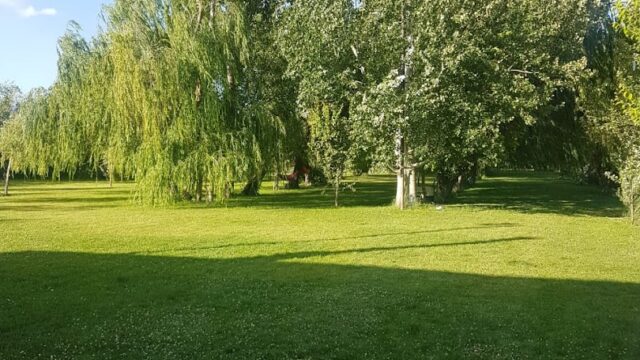 a grass field with trees and blue sky