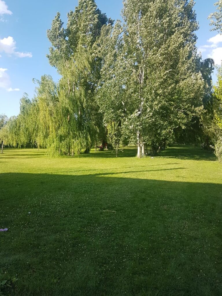 a grass field with trees and blue sky