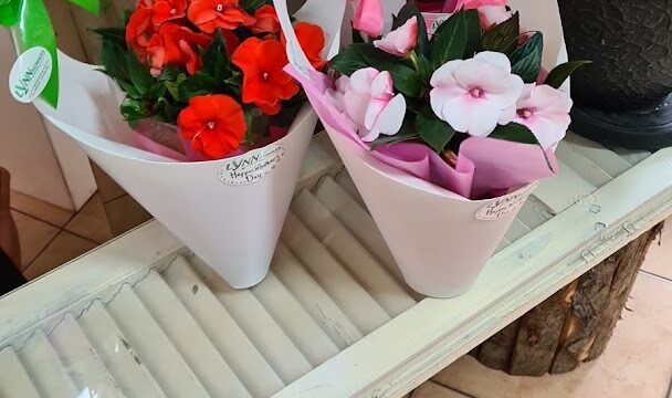 a group of flowers in white paper bags