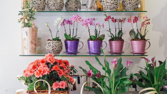 a group of baskets of flowers and plants on a table