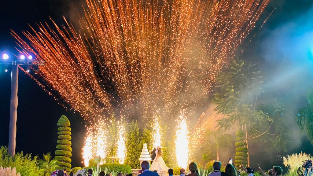 a group of people watching a wedding ceremony