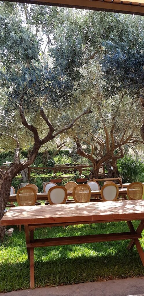 a table with chairs under a tree