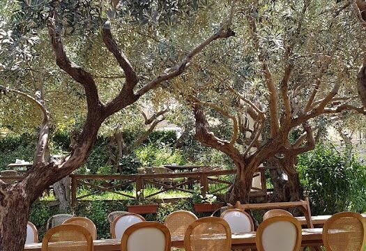 a table with chairs under a tree