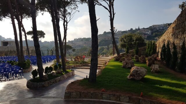 a park with trees and chairs