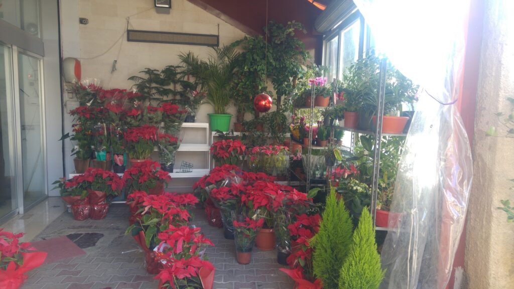 Sabra Flowers Shop Image