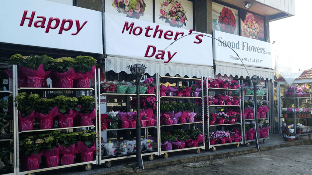 a store with flowers on shelves