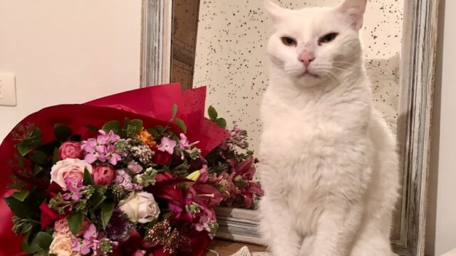 a cat sitting on a table next to a bouquet of flowers