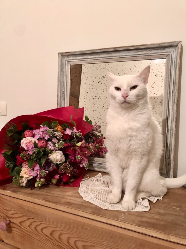 a cat sitting on a table next to a bouquet of flowers