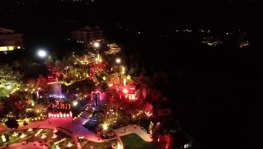 a aerial view of a park at night