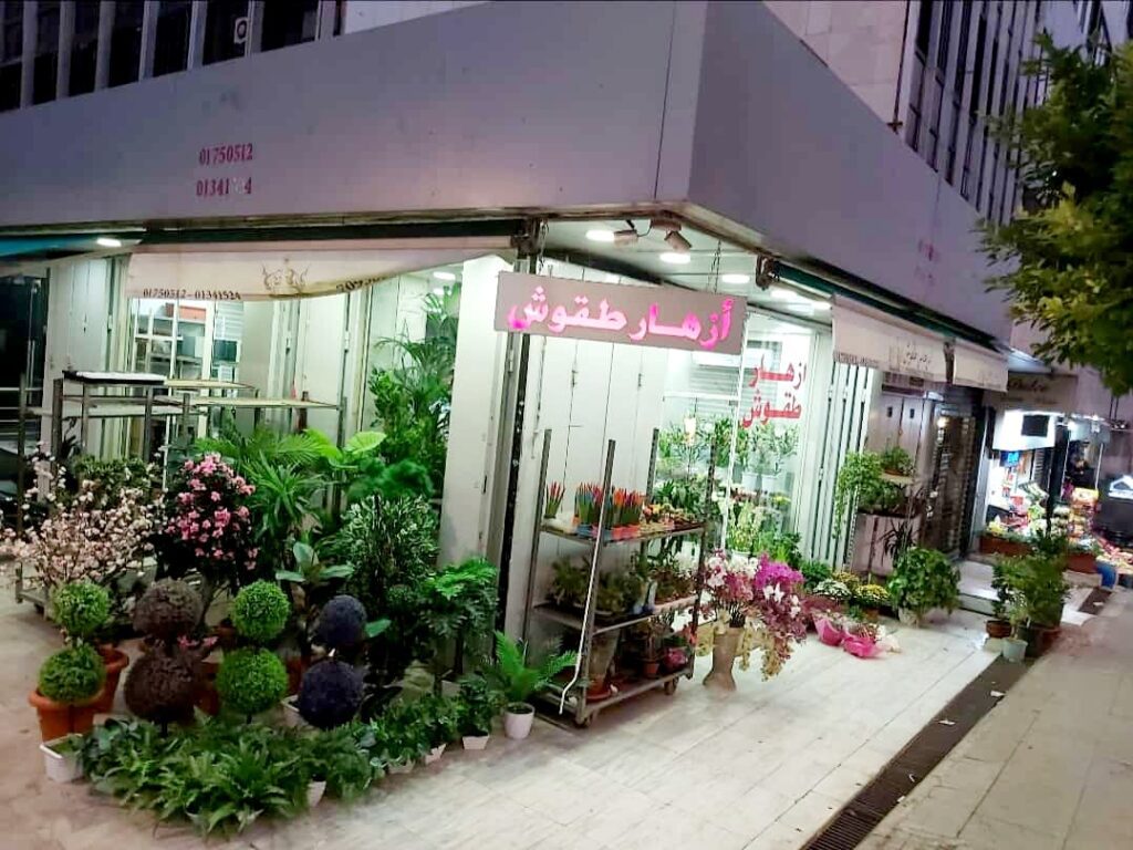 a store with plants on the side