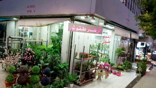a store with plants on the side