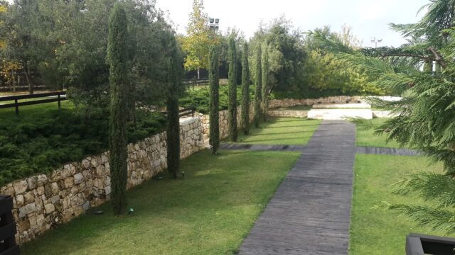 a path with trees and a stone wall