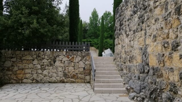 a stone wall with a stone staircase and trees