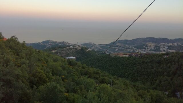 a view of a valley with trees and a city in the distance