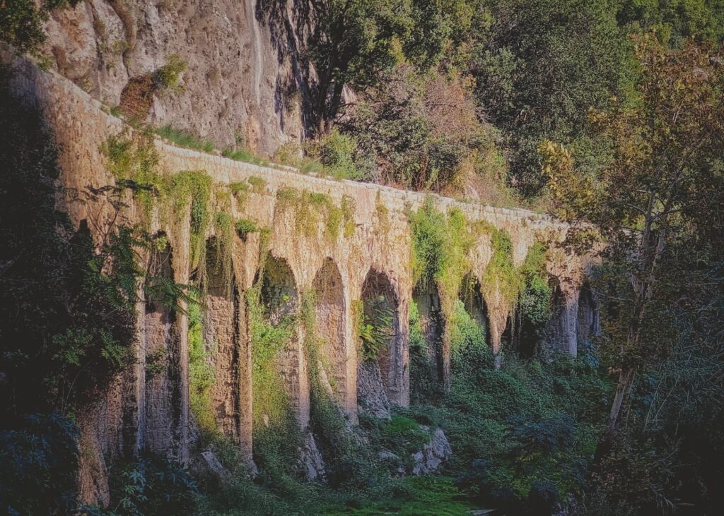 a stone bridge with arches and plants on the side