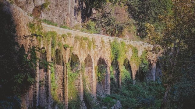 a stone bridge with arches and plants on the side