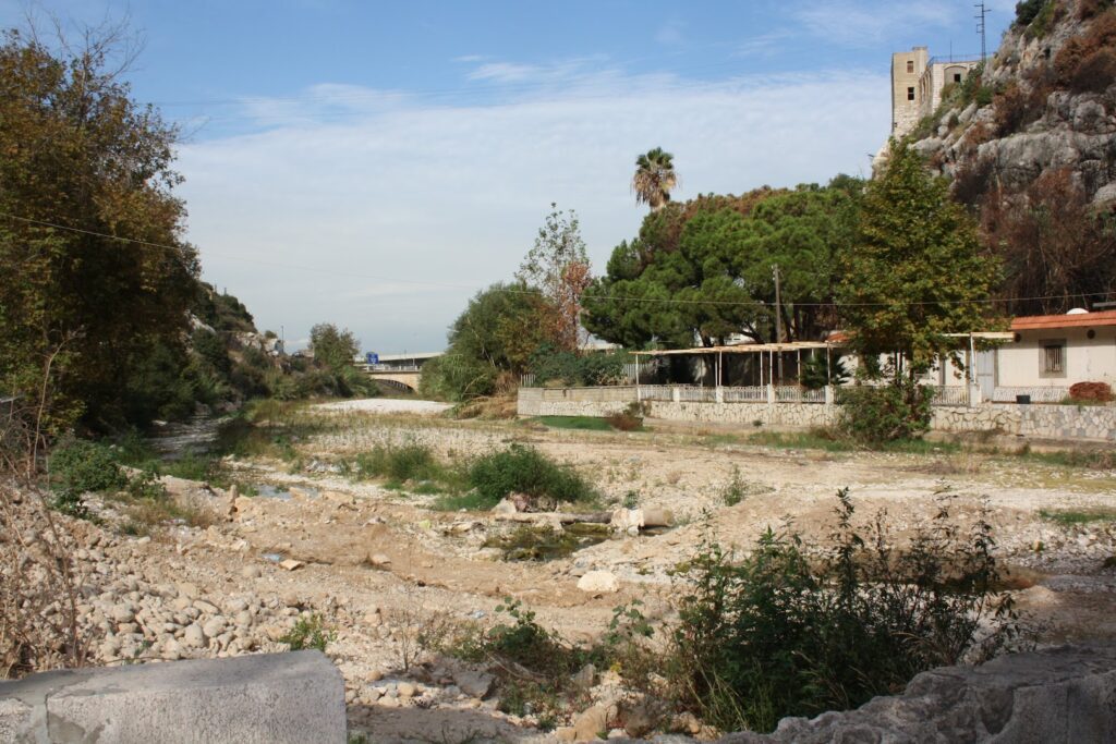 a dirt road with trees and a building in the background