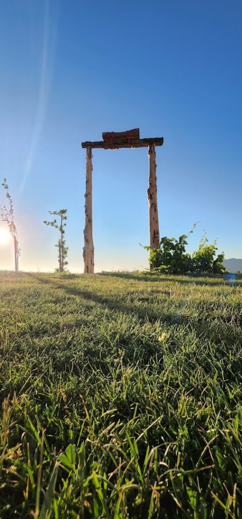 a wooden structure in a grassy area