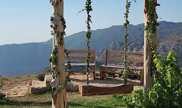 a wooden swing set with vines from poles