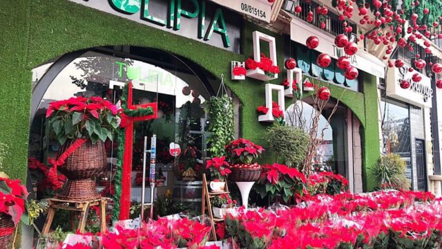 a store front with red flowers and decorations