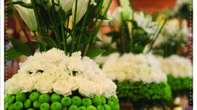 a group of white and green flowers