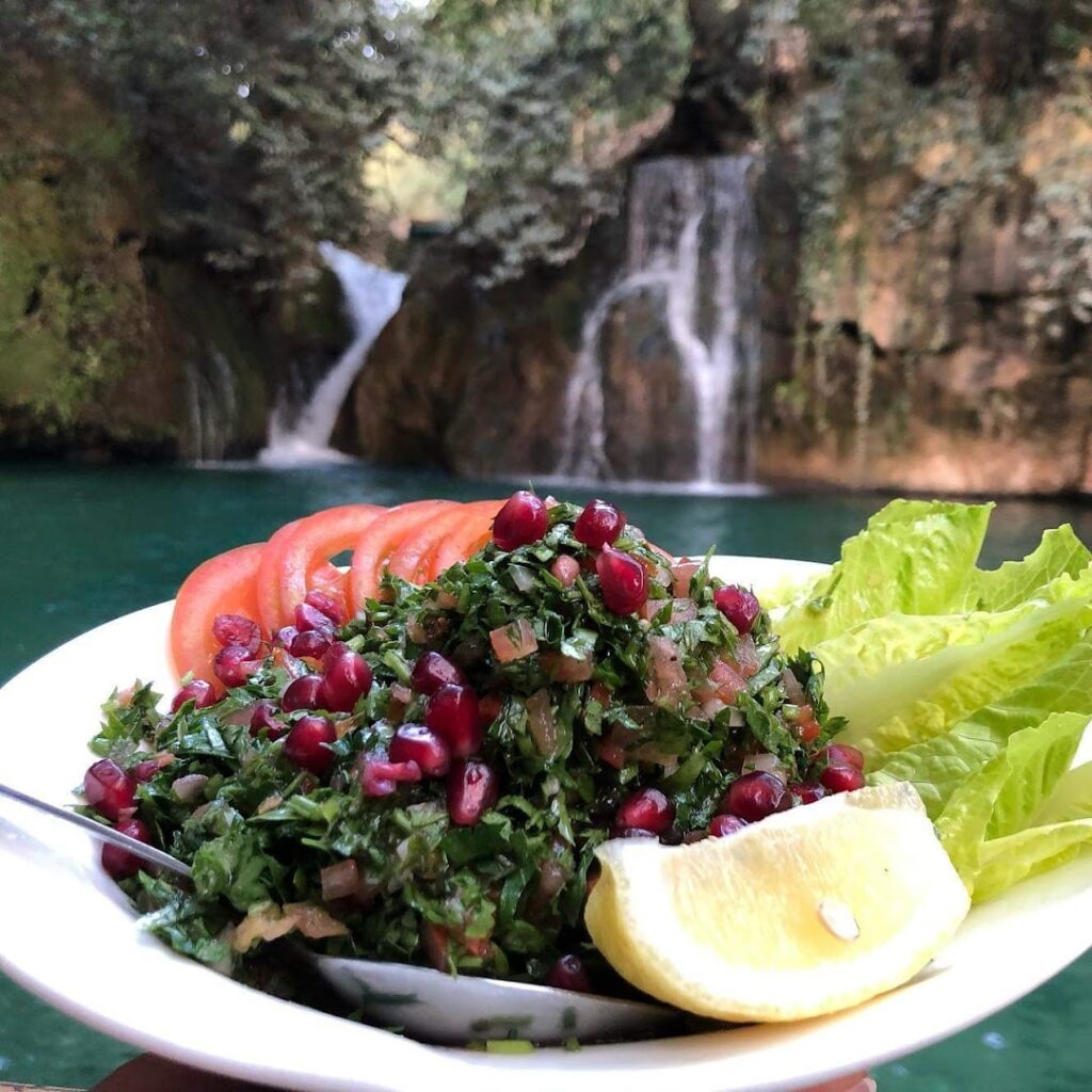 a plate of salad with a waterfall in the background