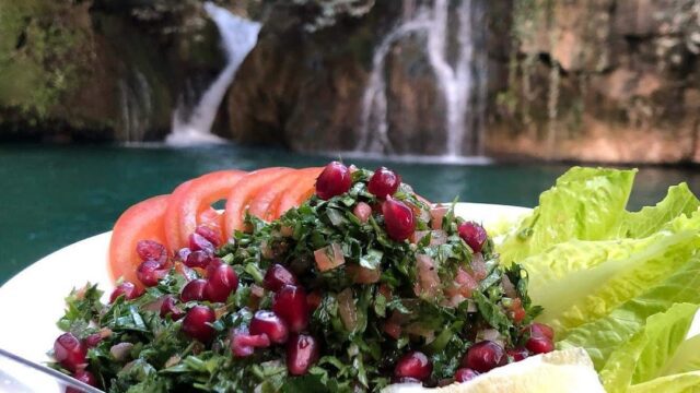 a plate of salad with a waterfall in the background