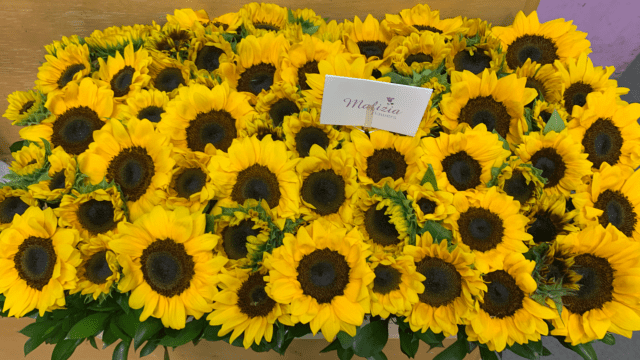 a group of sunflowers in a box