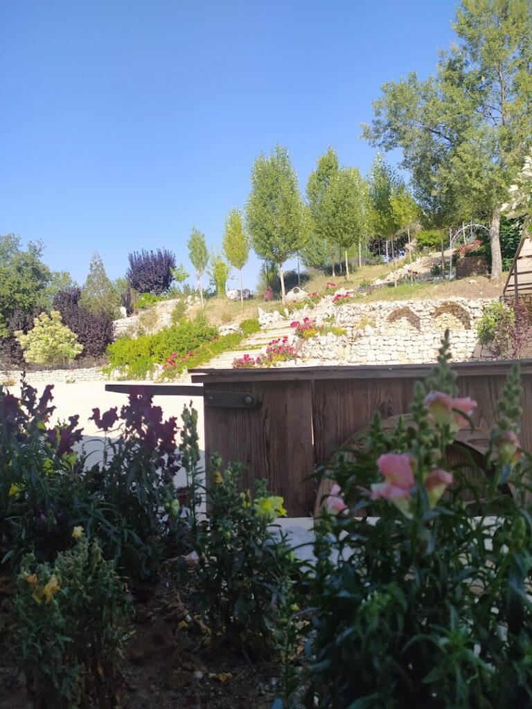 a garden with flowers and trees