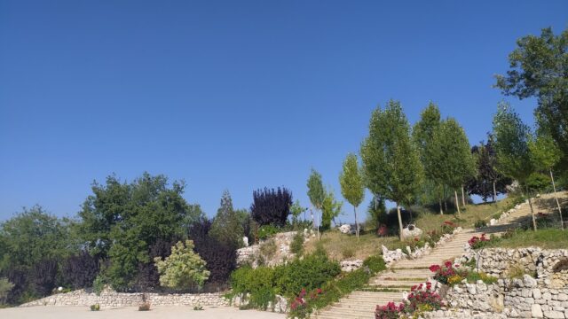 a stone stairs with trees and flowers on a hill