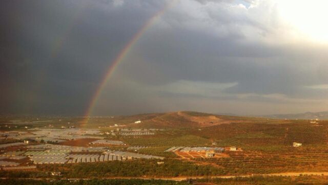 a rainbow over a landscape