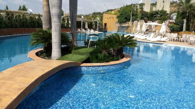 a pool with palm trees and chairs