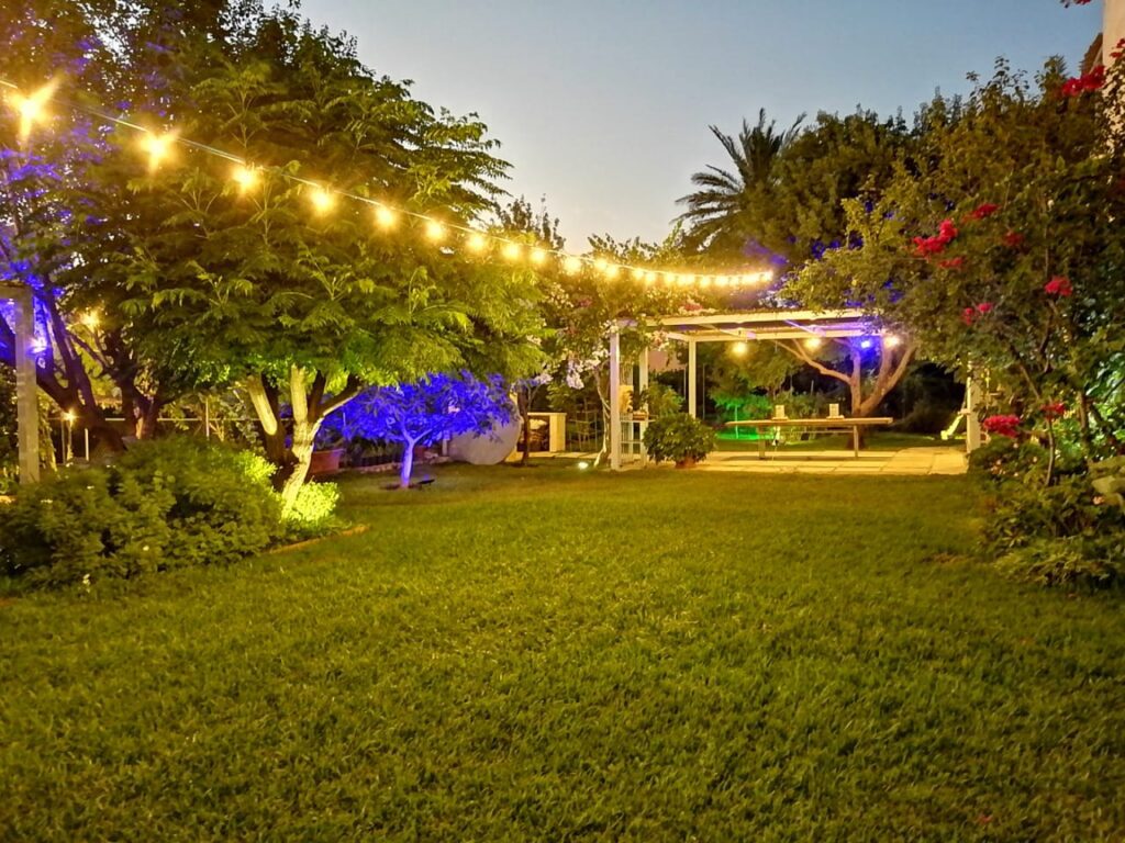 a backyard with lights and trees