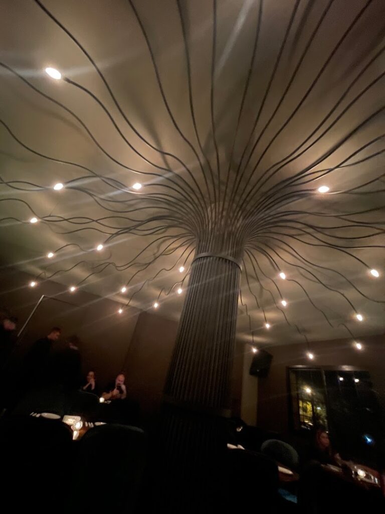 a tree with lights on the ceiling