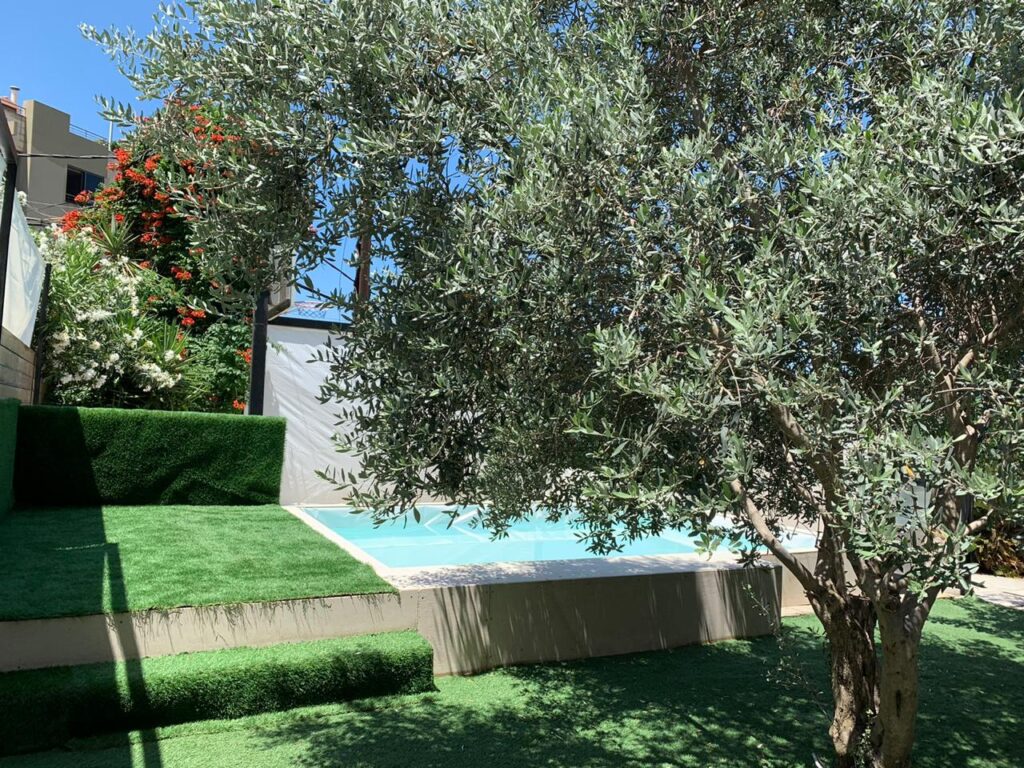 a tree next to a pool