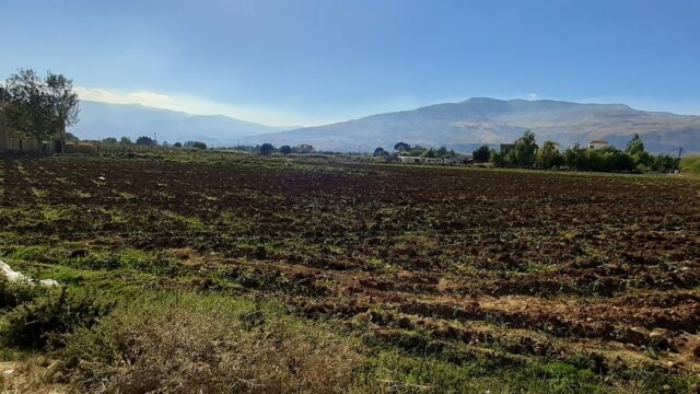 a field with dirt and trees in the background